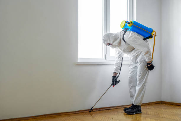 Pest Control for Hotels in Minnetrista, MN